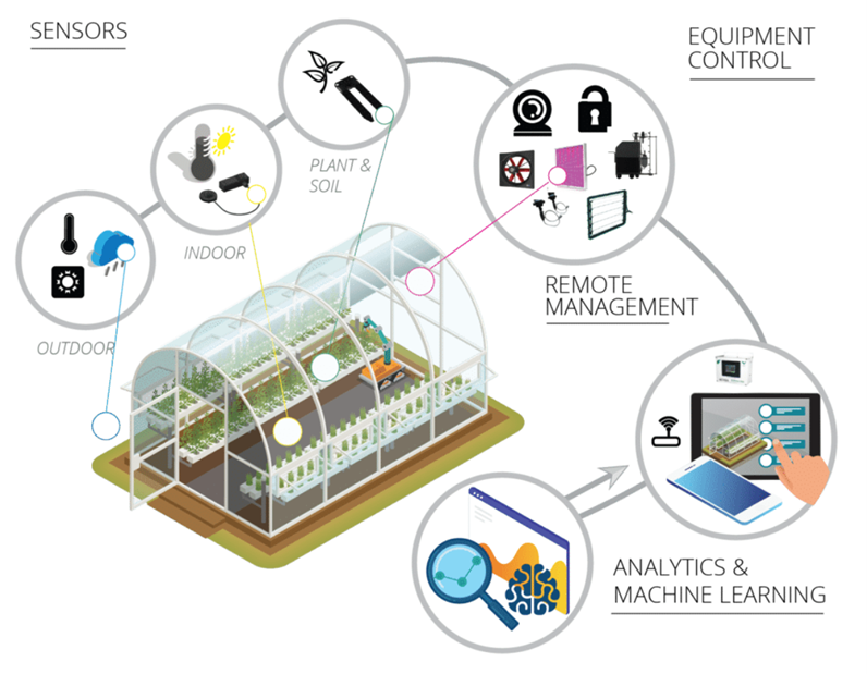 AIoT-Based Monitoring – Greenoponic